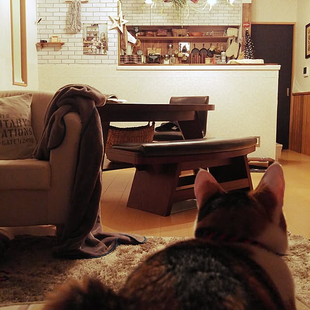 l..tomesanさんの実例写真