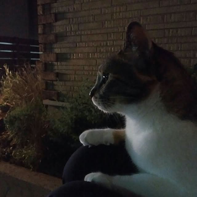 tomo1220さんの実例写真