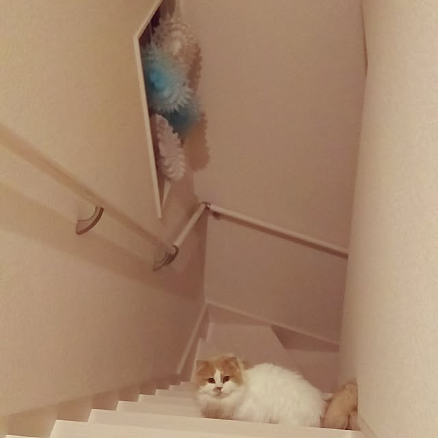 nonkoさんの実例写真
