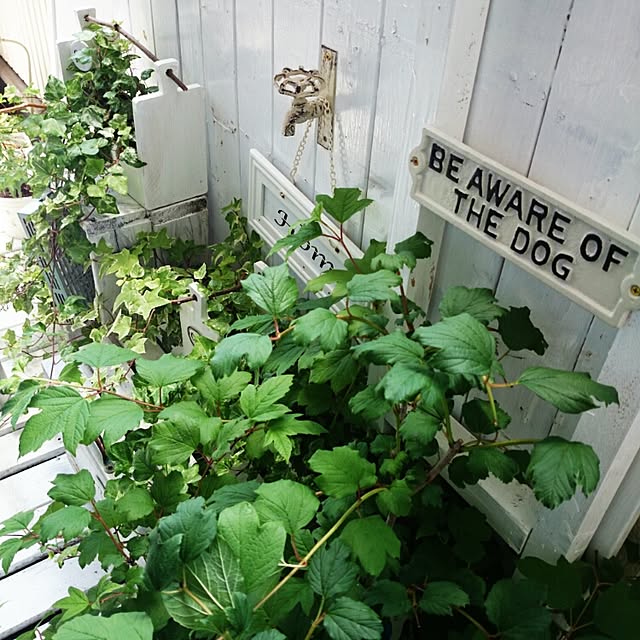 M_house_officialさんの実例写真