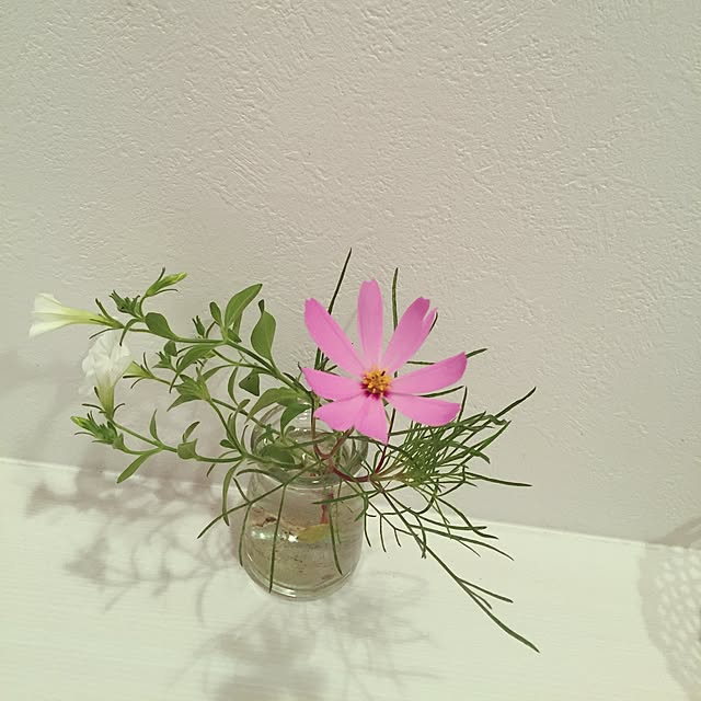 kaoriさんの実例写真