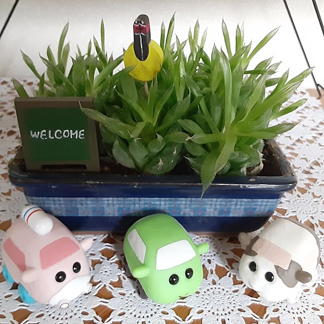 katさんの部屋