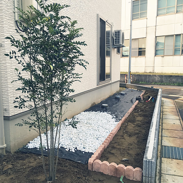 imtr24さんの実例写真