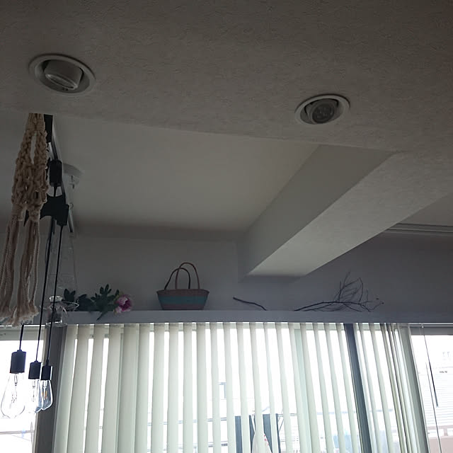 Ankylosaurusさんの実例写真