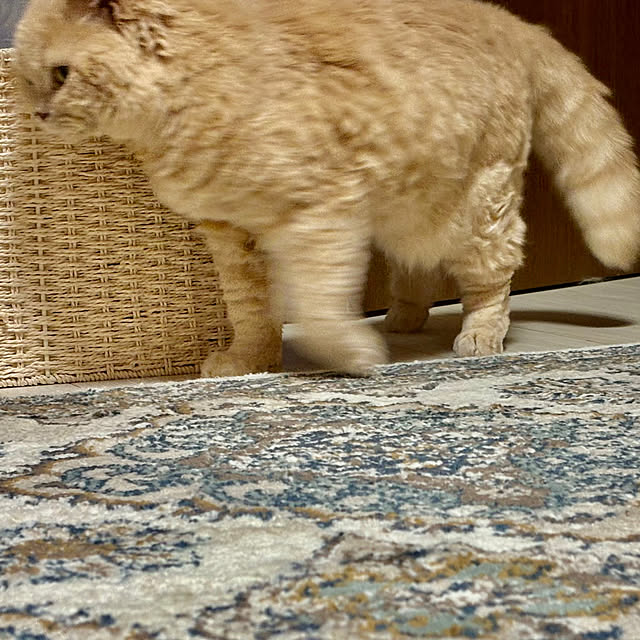 naokoさんの部屋