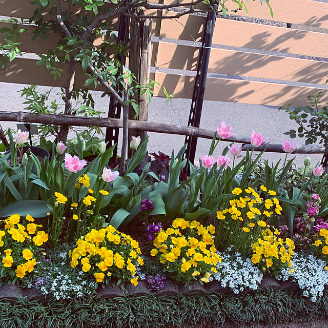 KYONさんの部屋