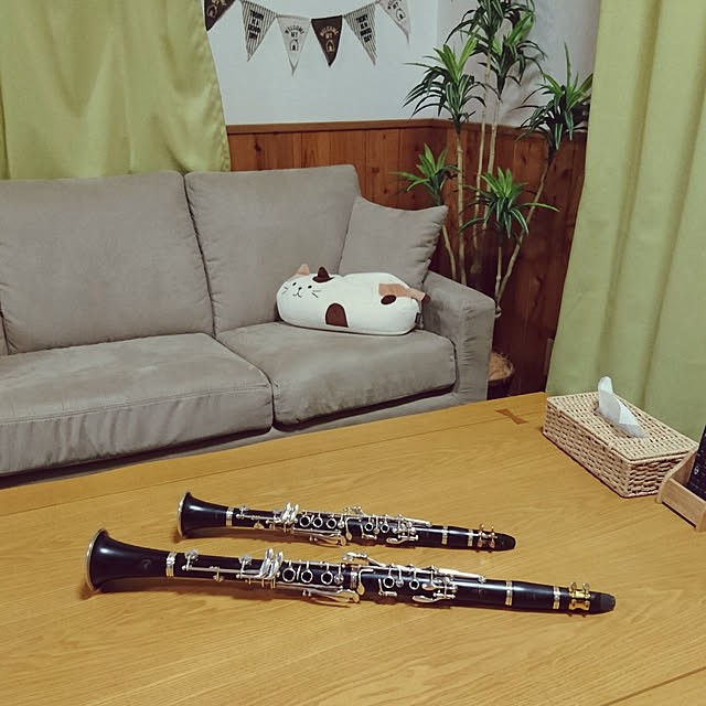 misarikuさんの実例写真