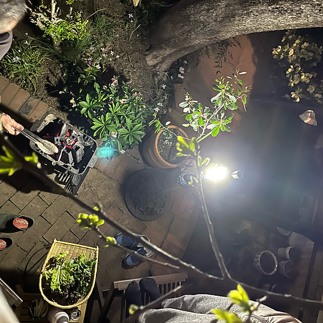 botanさんの実例写真
