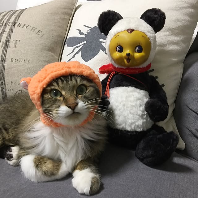 yuchiさんの実例写真