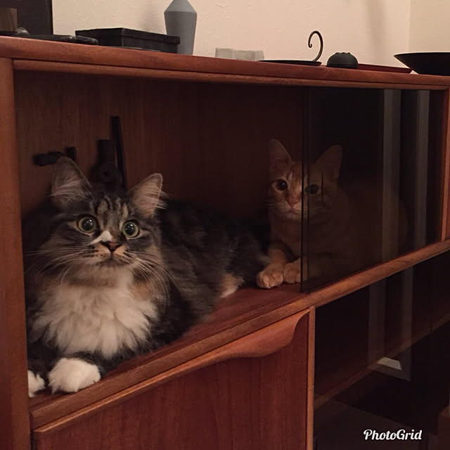 Hisashiさんの実例写真