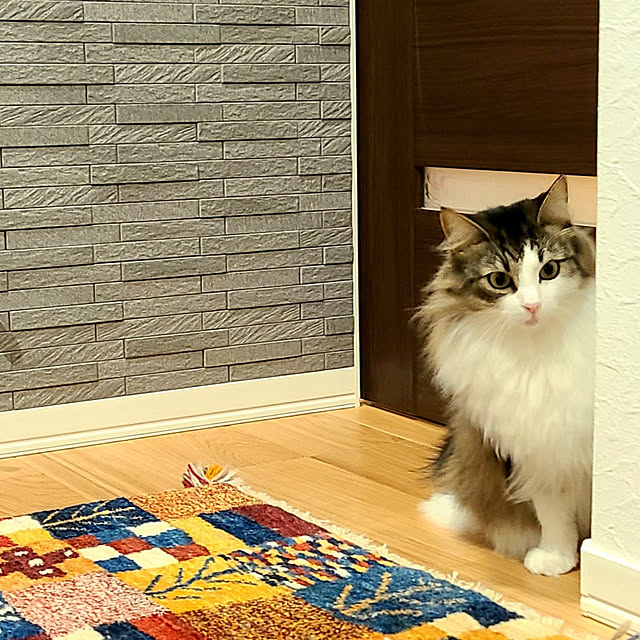 akiko6193さんの実例写真