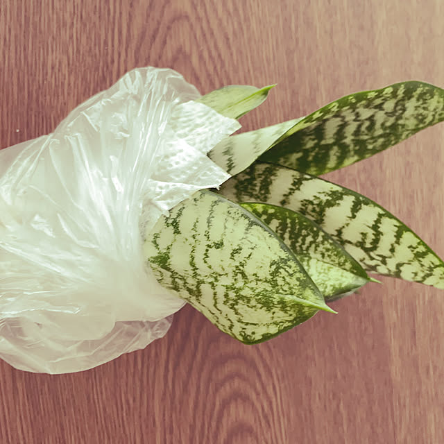 makiさんの実例写真