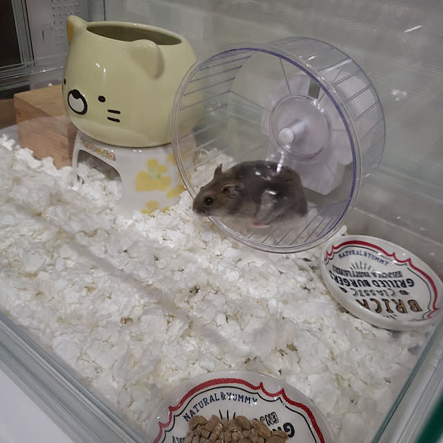 BAZさんの実例写真