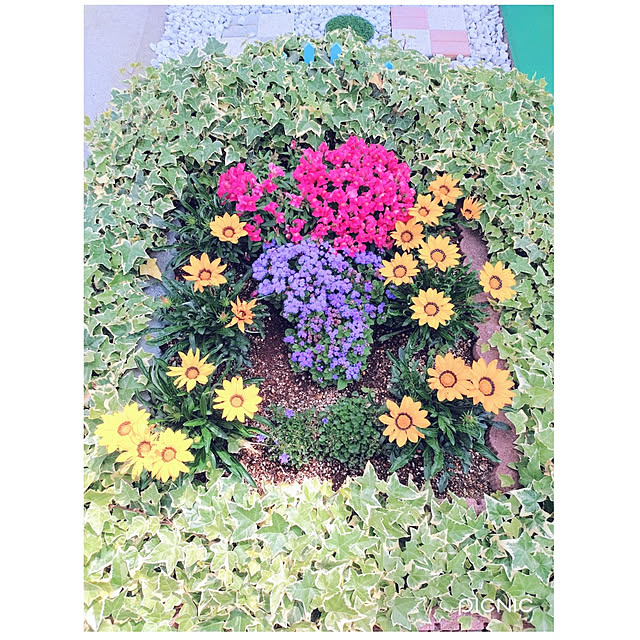 Miyumamaさんの実例写真