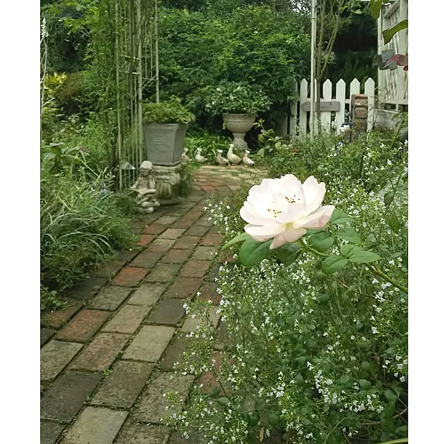 s.mamaさんの実例写真