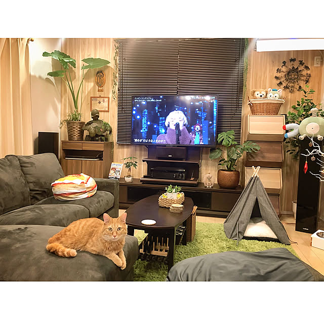 hitominさんの実例写真