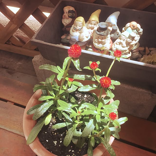 kojiro120513さんの実例写真