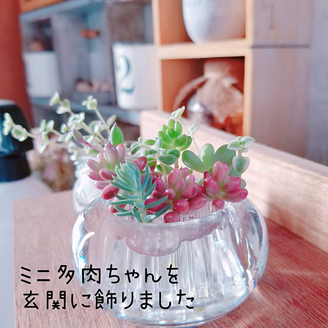 Mikaさんの実例写真