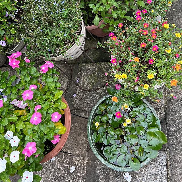 fumikoiさんの部屋