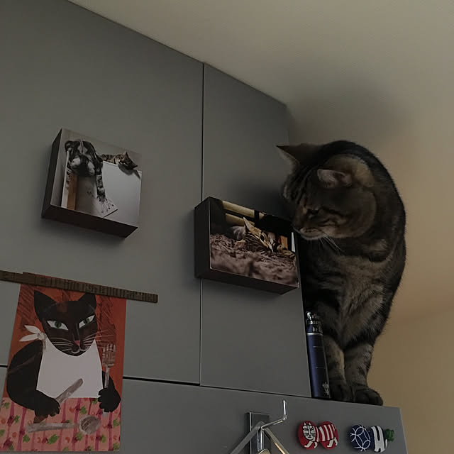 mikomaruさんの実例写真