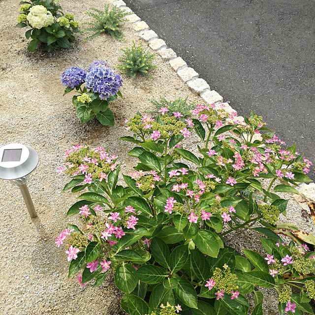 hatapichiさんの実例写真