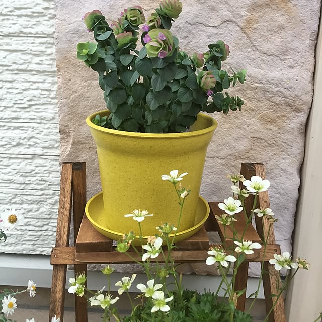 TAKAさんの実例写真