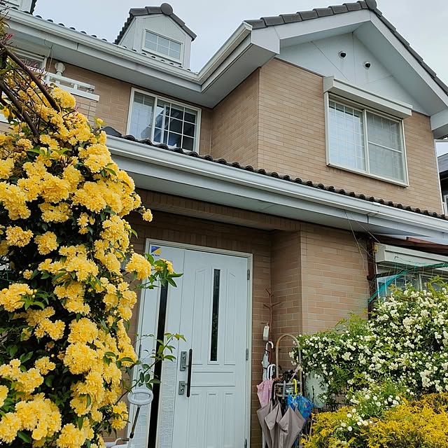 mind_komaさんの実例写真