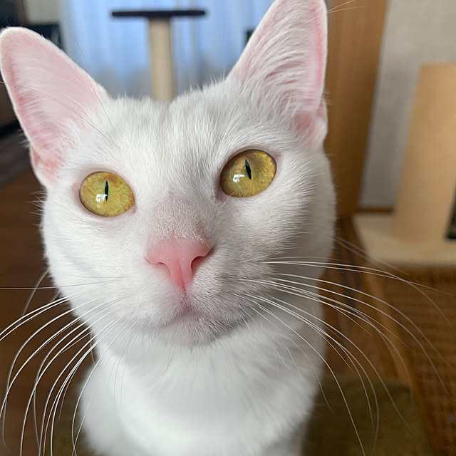 keiさんの実例写真