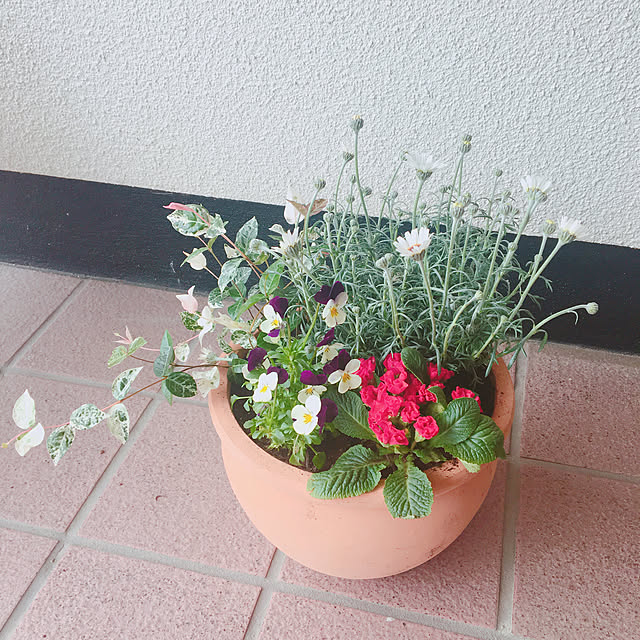 setonoさんの実例写真