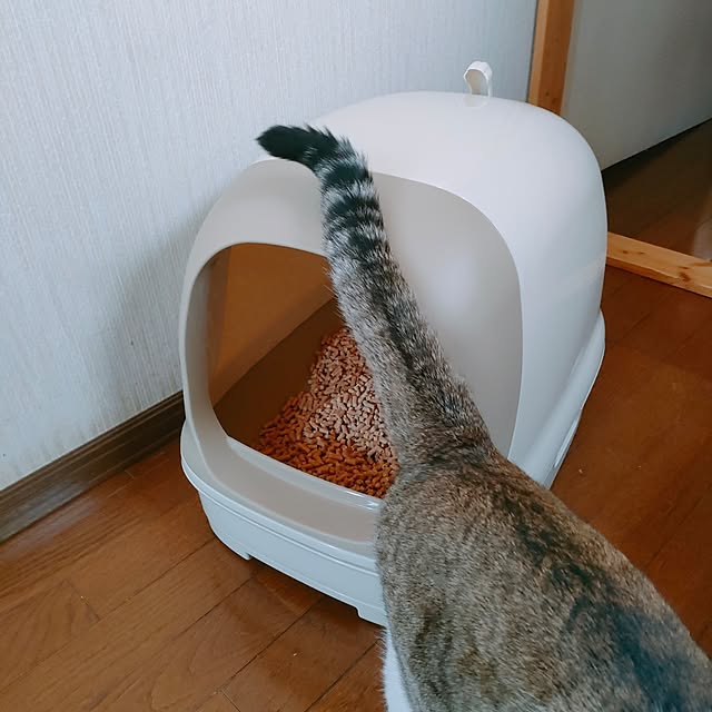 mori_6_12さんの部屋