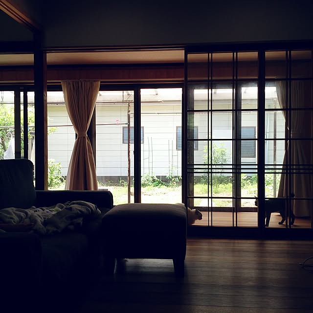 kana-nagomiさんの実例写真