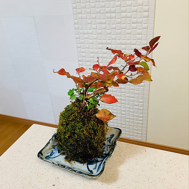 mizucchiさんの実例写真