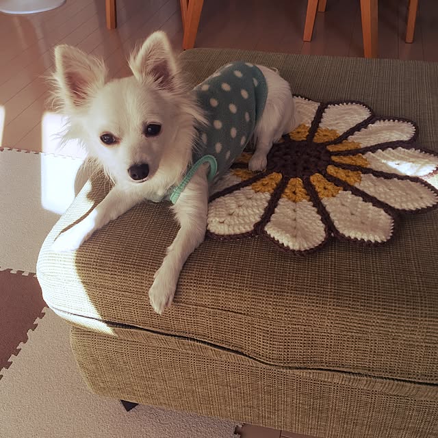 macoさんの実例写真