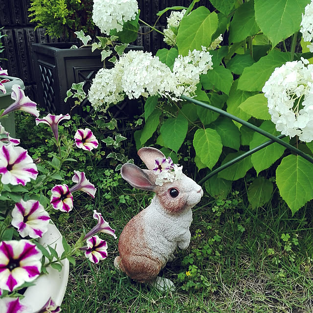 rimamさんの実例写真