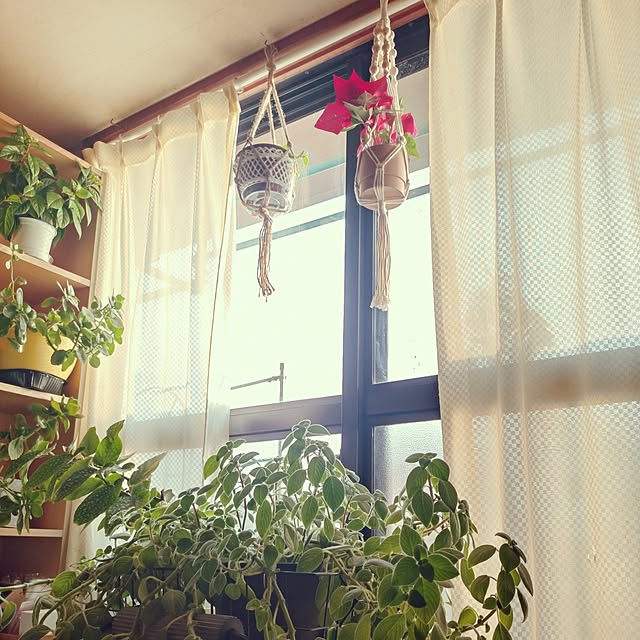 NOAHさんの実例写真