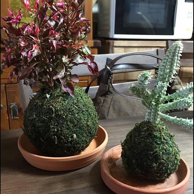 nonpiiiさんの実例写真