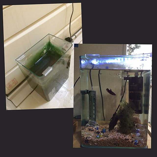 RinkouGrowさんの実例写真