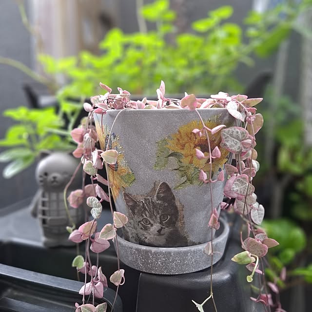 noaさんの部屋