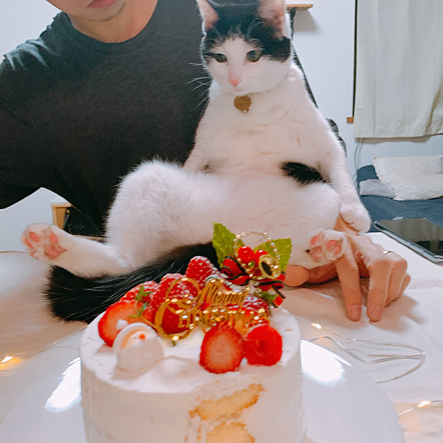 harukaさんの実例写真