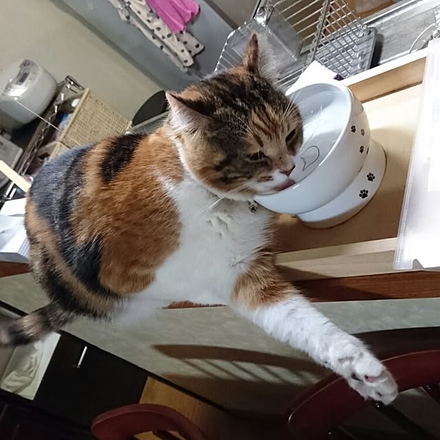 yukieさんの実例写真