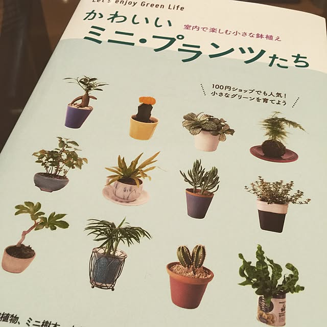 Shuheiさんの実例写真