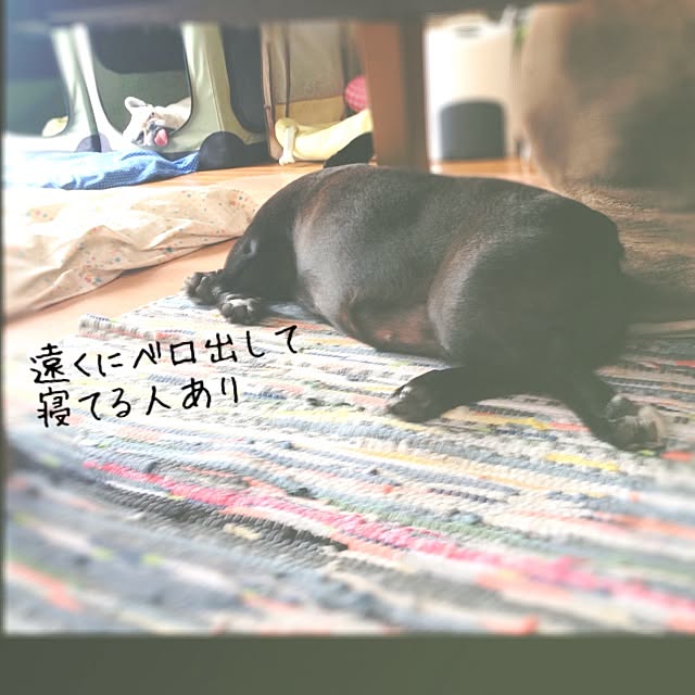 38coreさんの実例写真