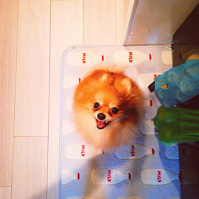 miyonさんの実例写真