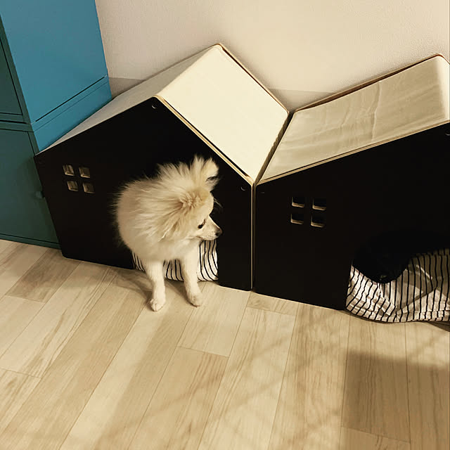 mirai-twdl28さんの実例写真