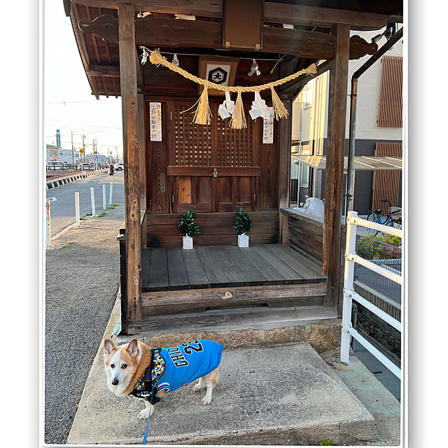 SIROさんの部屋