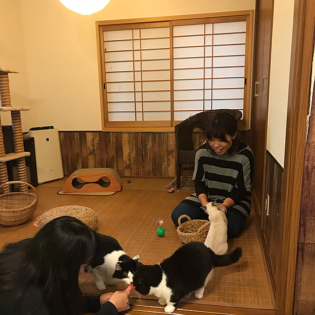butachanさんの実例写真