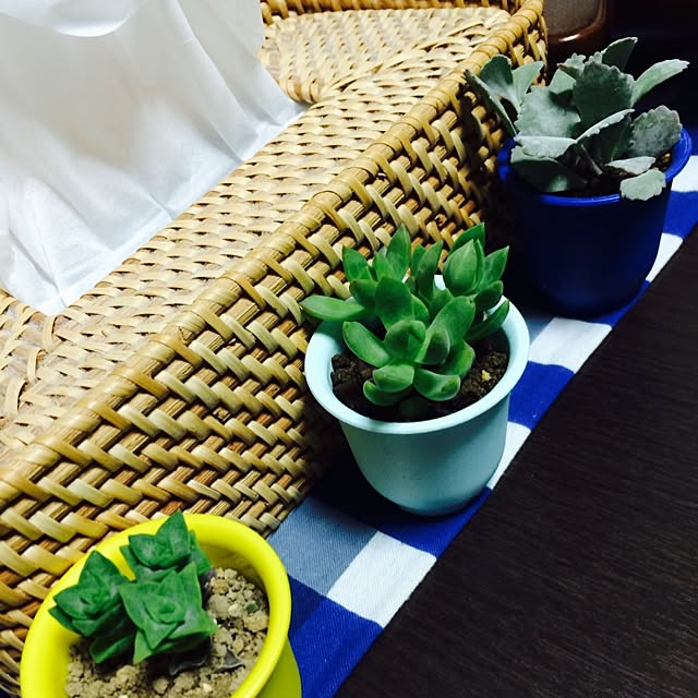 belleさんの実例写真