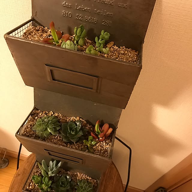 実例写真