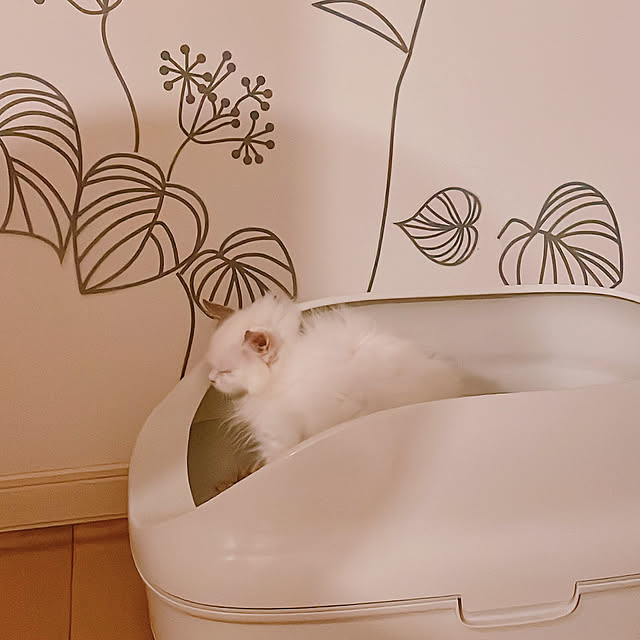 milkcocoaさんの実例写真