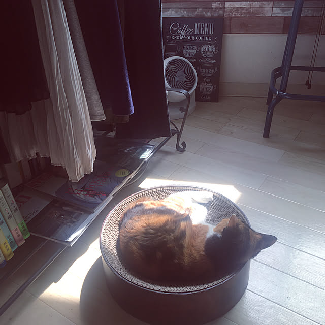 satotoさんの実例写真